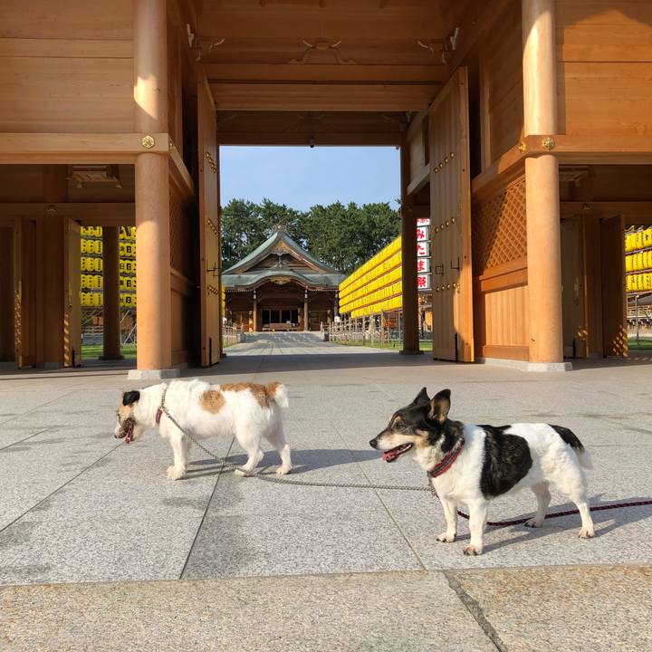 40828167 625e 4157 8d45 52969c9f4686 1565567442511