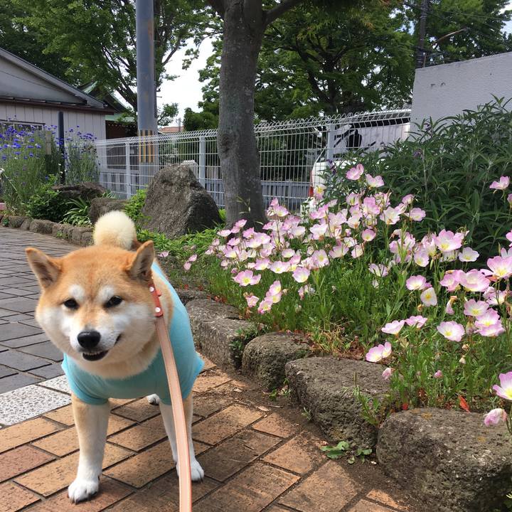 40829635 8634 4968 8c32 39ebbcaa5b83 1557885664989