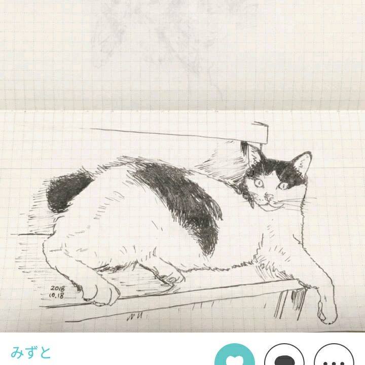 40829b1f 8675 4c5f 941d 2ef20aa07d96 1540821038109