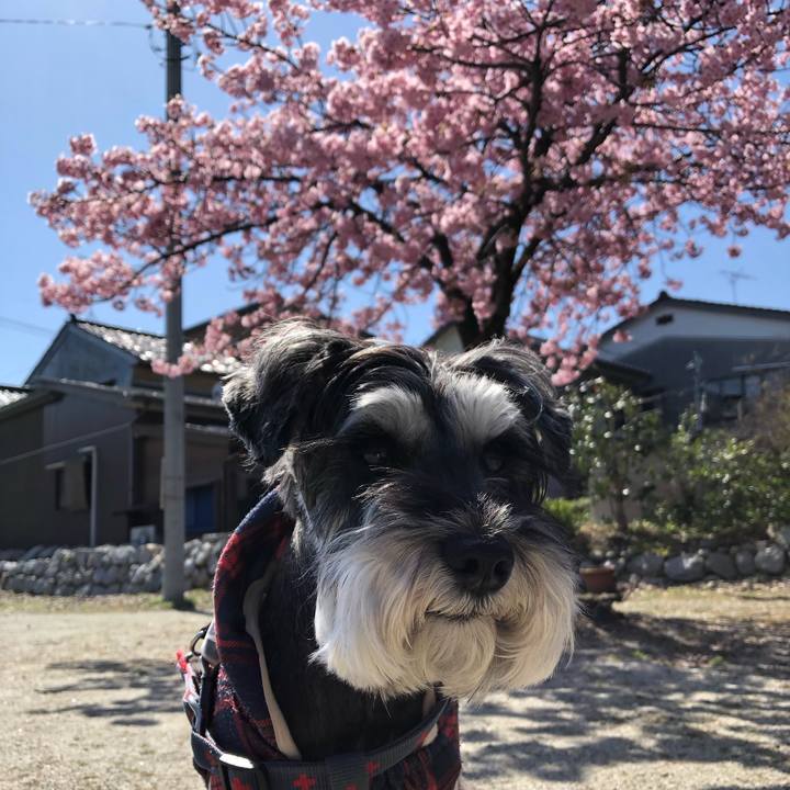 4082ca5d 74ee 4fbf bc10 912e9ad4cdb2 1679404125448