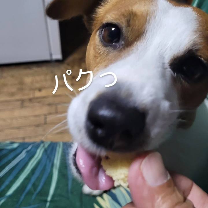 4082e37a ea73 4f1b 9b1e 9bf5d2dfd49c 1717368743341