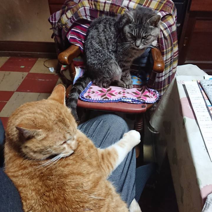 40832c82 c8b4 4941 887c a0e412fcbc42 1579825288586