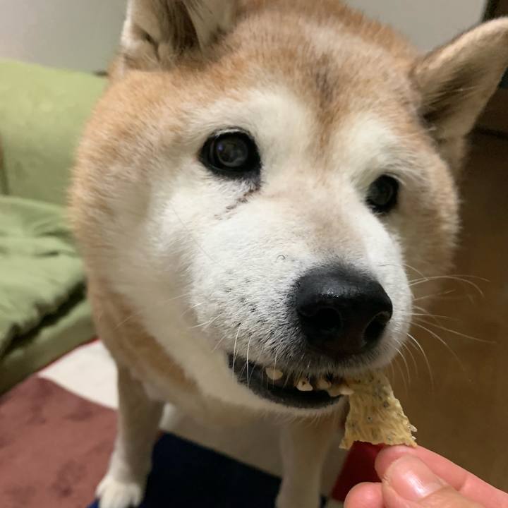 4083575f 48c5 47db b3b0 b70fd29d9ce8 1645324587303