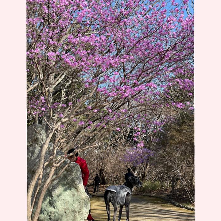 408358d0 50ff 4e45 bf13 9135b56da34c 1614480471966