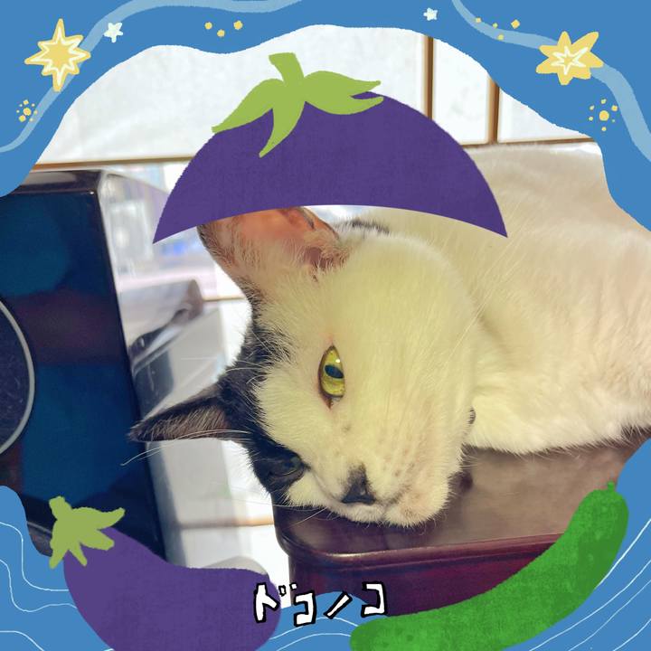 40838ca6 b2ea 48f1 9a85 351ab461dfa6 1755318288160