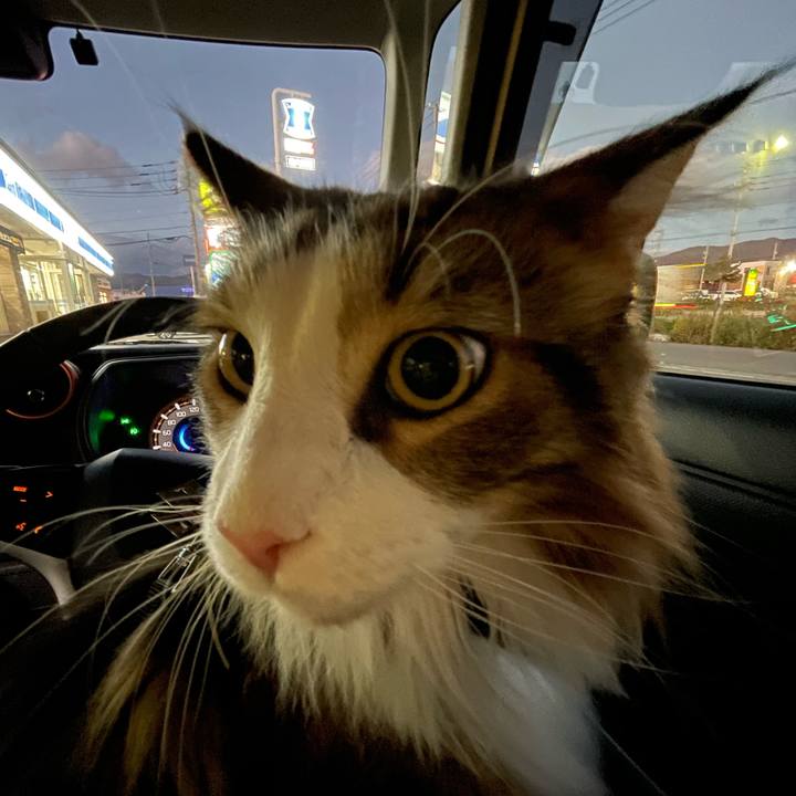 4083a20b 5ec2 42ef a11d 0444fbcaf268 1667118776422