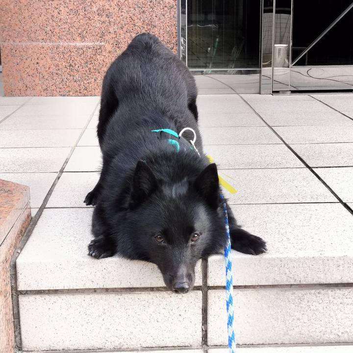 4083a61a 24af 4c28 a598 5a0662b3c31b 1721342055031