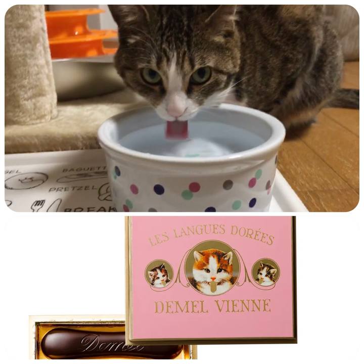 4083d70d 04a5 4a87 b8e3 8f19f7806e16 1709990088855