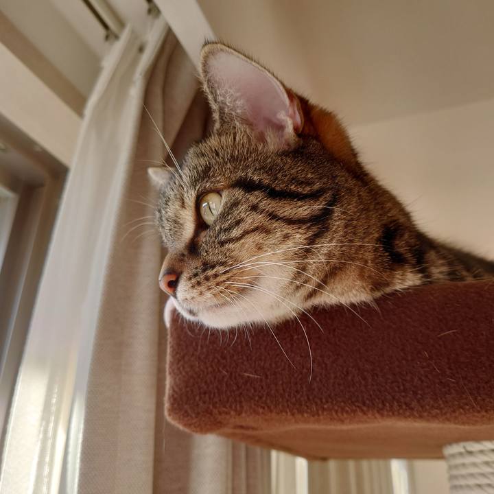 4084287e 4c70 44ec 8db4 7e31e12ef6d1 1612418222822