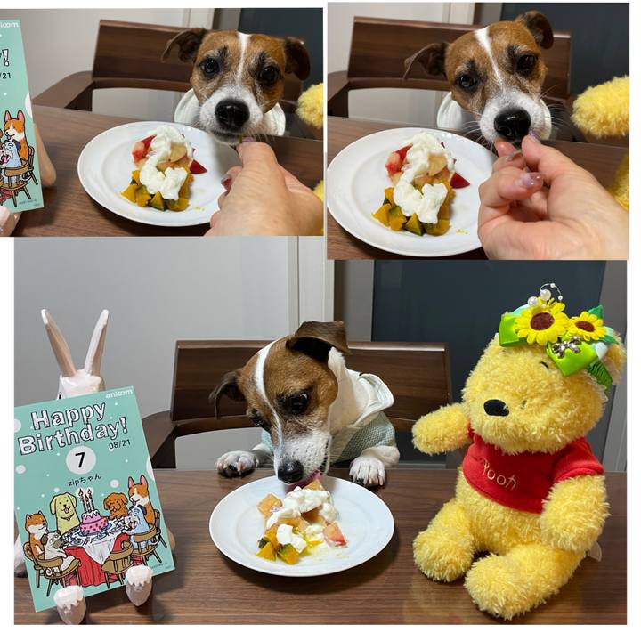 40843833 c63f 4385 be3e af91d217b796 1724207898819