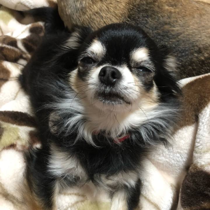 40843a3e 6283 4942 bd0d d8d651324376 1521087779809