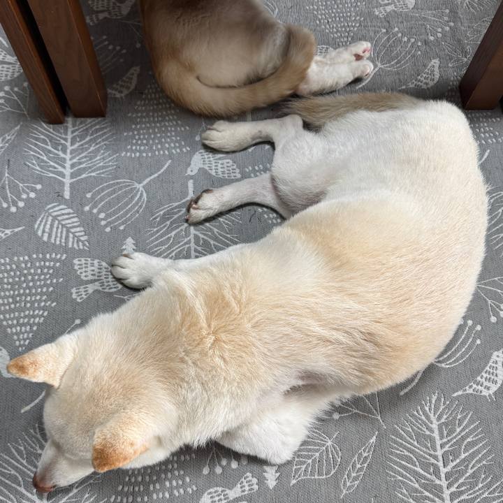 408445f8 7ffb 49a9 9a03 0315d6f11693 1773618401847