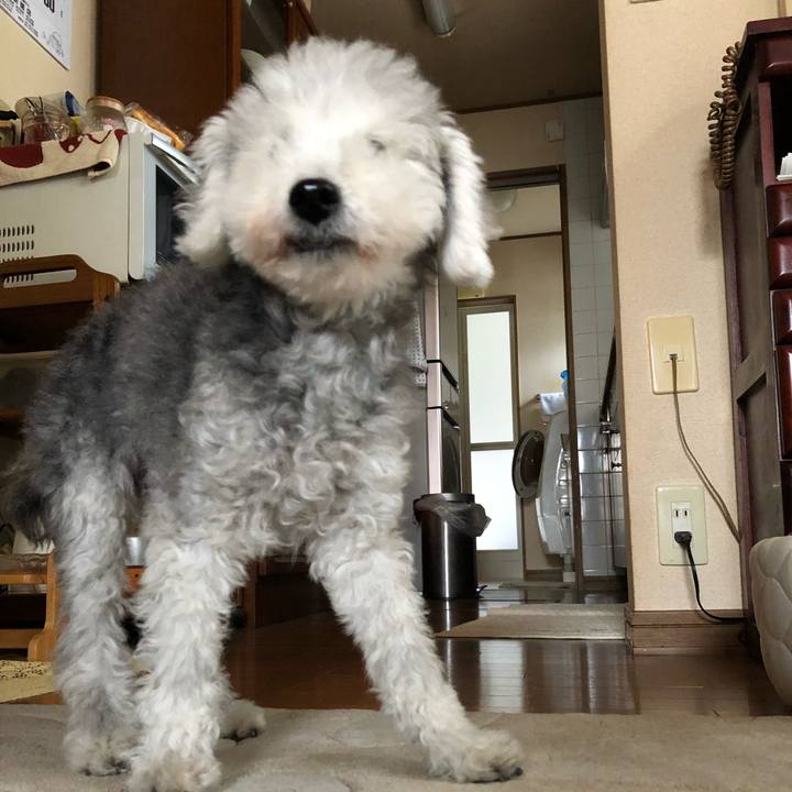 40845c1d 3884 4875 8ec6 cc624242eb7b 1663722399065