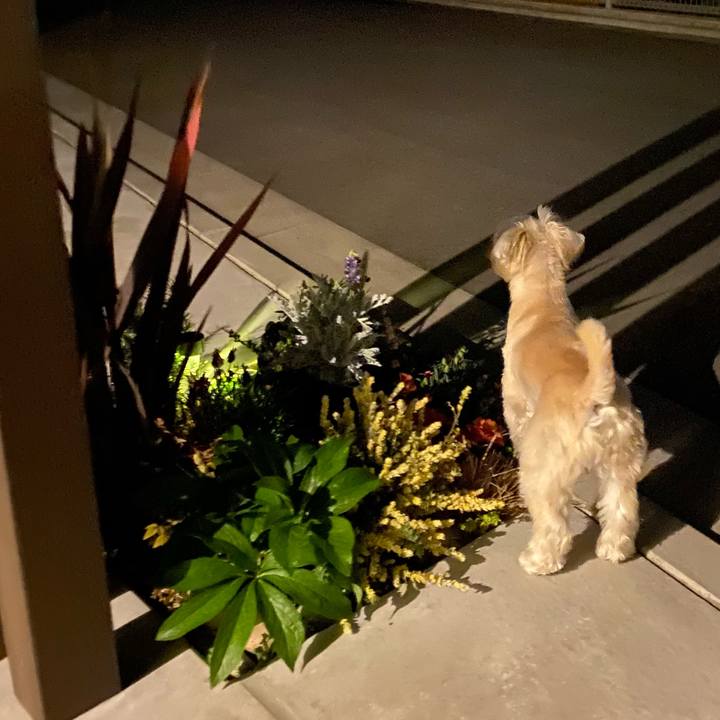 408468c1 4ad5 4be7 bc30 5bc1f0c126d9 1649338266240