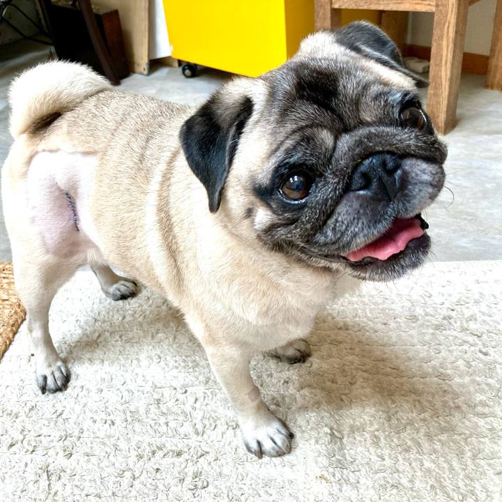 4084c51f 91a6 4884 b622 77cff7d893db 1760235281733