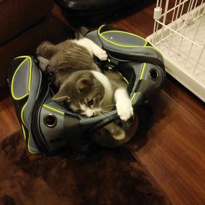 4084c669 06c8 4d4c 9b55 11a71f47b52a 1578751917843