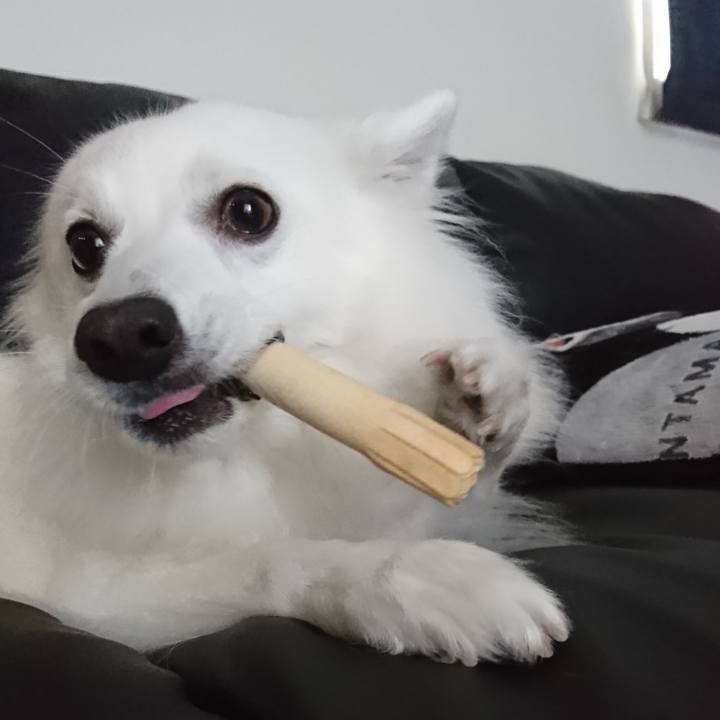 4084e50f 7c83 437b ac5e ca9eebc97bba 1572060397902