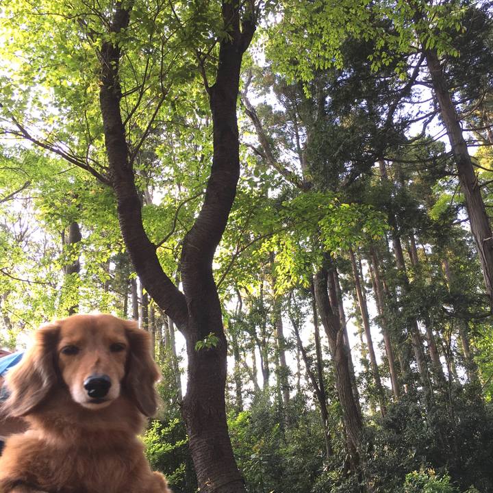 4084e923 5957 4d0b 9cf2 f5c475735a9e 1618136300542