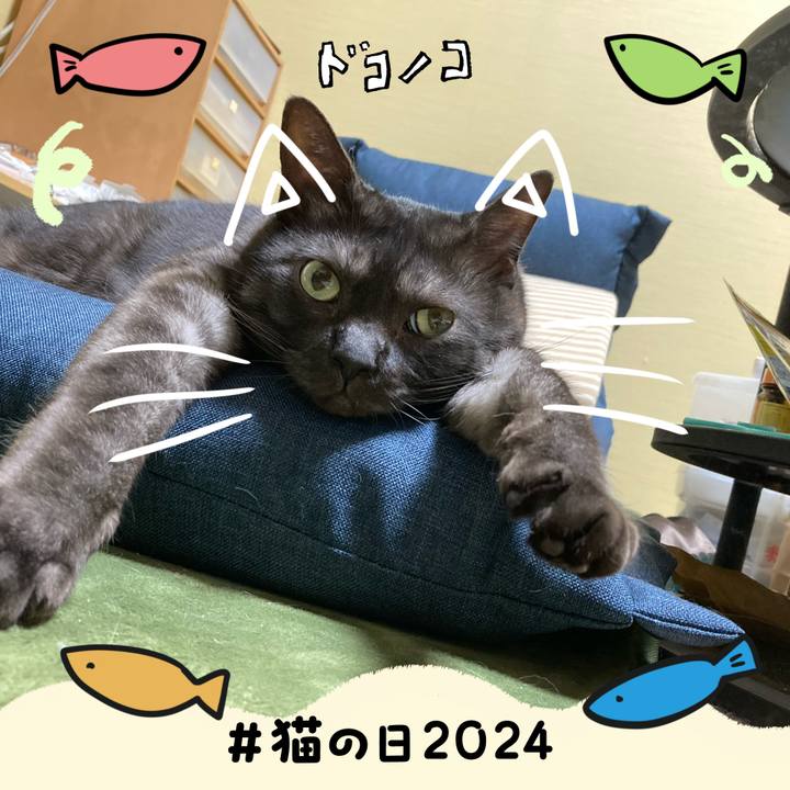 4085522d 3267 44cd 818d 54b206c1b779 1708540188230