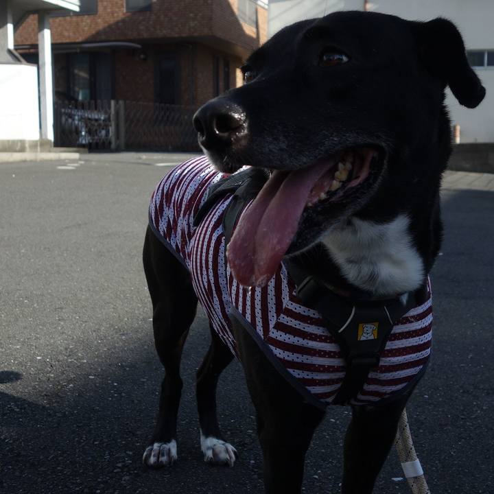 408558ed 00e4 46d4 a488 1fcf35ec08f7 1658274539040