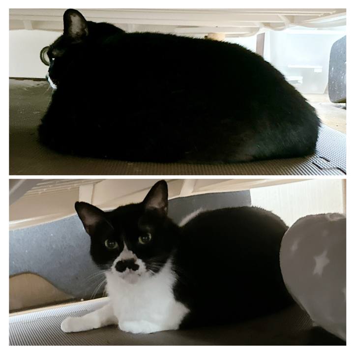 4085698d a141 4d72 9931 fb5a23b10186 1720017481967