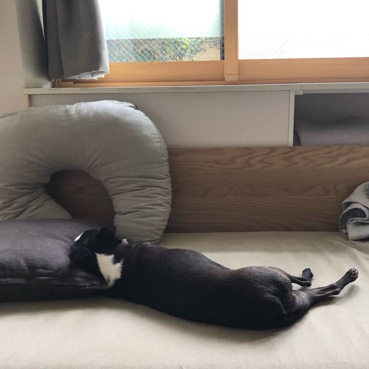 40857a4f 2126 4fe3 b23f 3aee9a5595cc 1598417814132