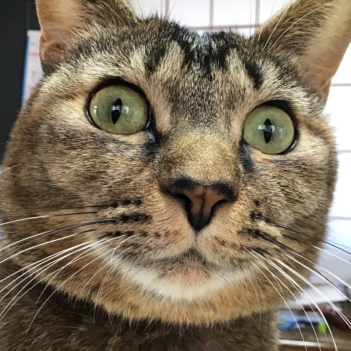 408587a9 a2cb 4339 b603 9ecf0c3e7898 1637883201759