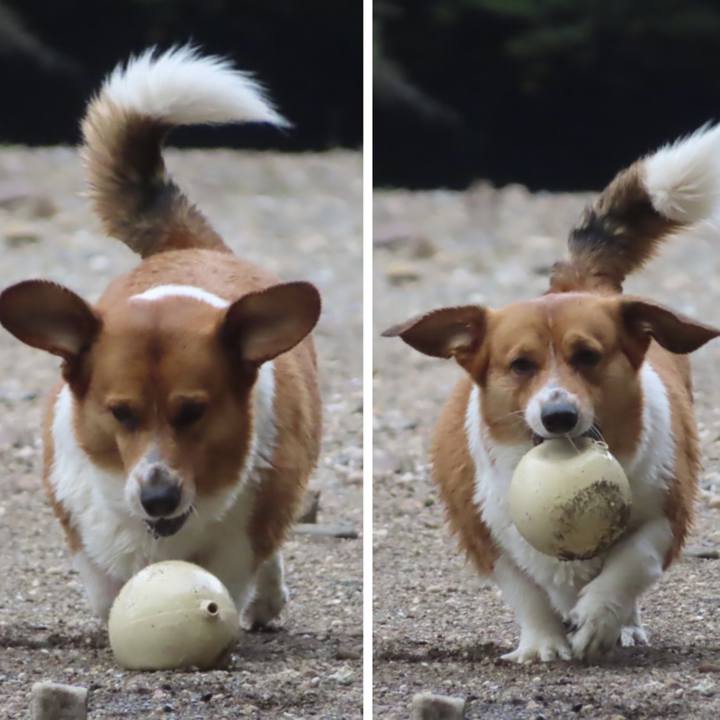 40859fa2 575e 4db7 aa8c cd18b5ce873e 1694393781593