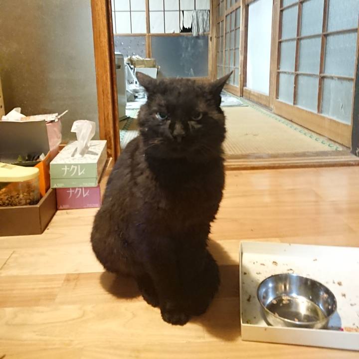 4085db8f 7dbf 4453 89b4 5ff0f182d03d 1621343721697