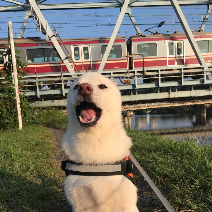 4085e286 3737 4515 8426 f3f9b5de452f 1567378418255