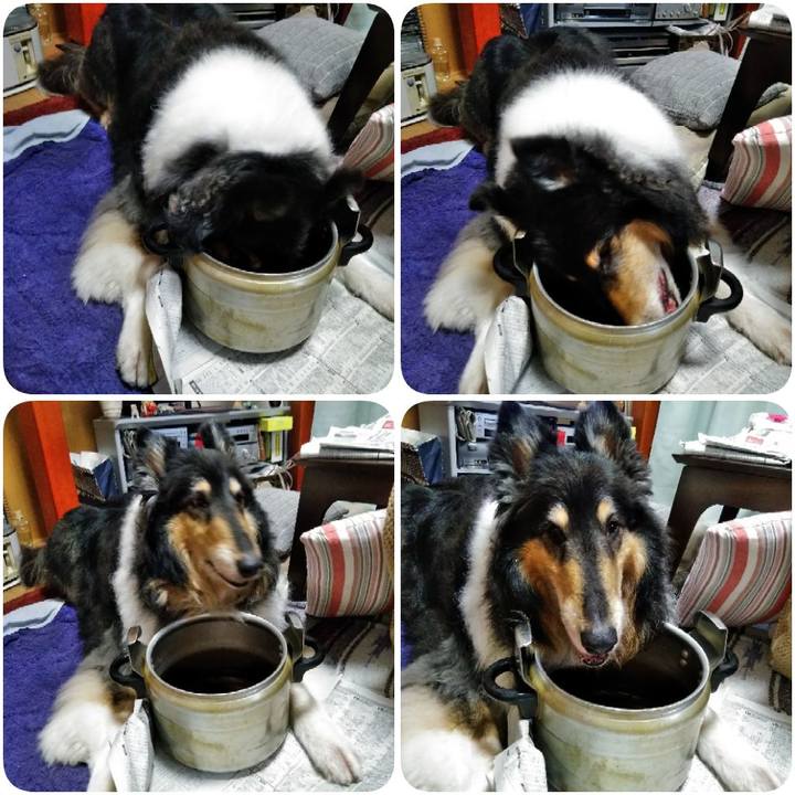 408606a2 47b0 491d bab0 a36e04467d88 1560001600489