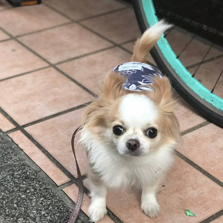 40861e58 c971 43ef b370 89e249959809 1604835633254