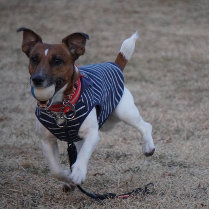 408620e1 ae4a 453b abf2 a70a1e17445b 1518658090108