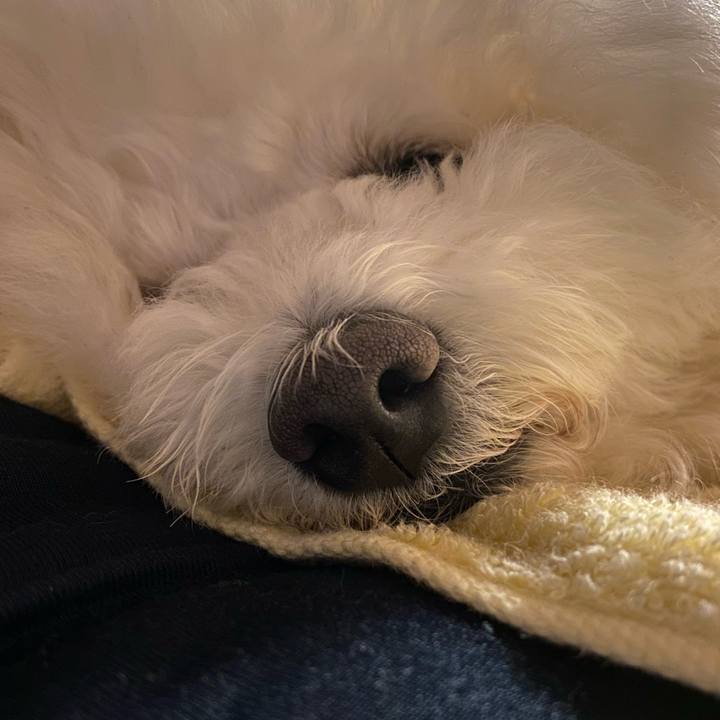 40865d3b 72a4 4867 84c8 51e4f45098f9 1617803392807