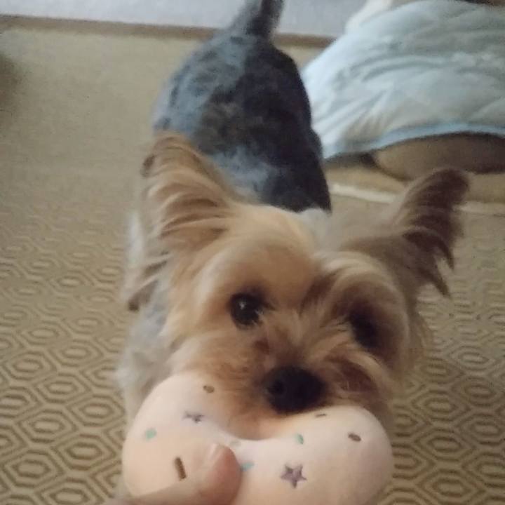 408674ef c53a 450e 8a0c 24af30411023 1694908160942