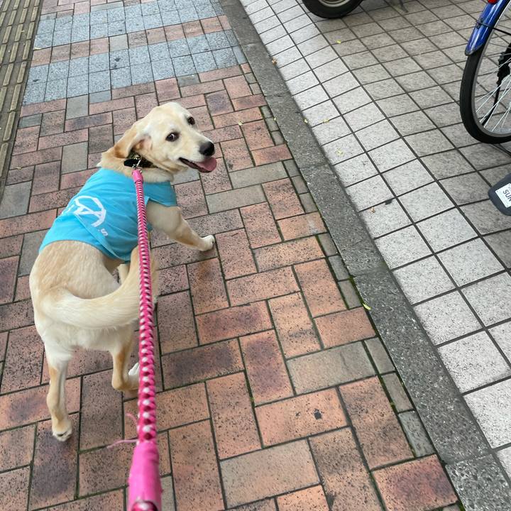 40868757 6747 442e 843f 7bc5493c8261 1621410708430