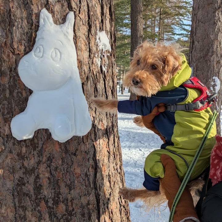 408692a1 b0b5 48c2 b18a 8f609da54e6e 1737249769223