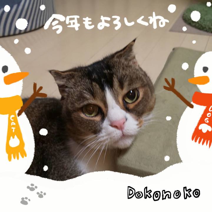 408692e4 08d6 41c2 b5be df7bd3edb0aa 1704106526073