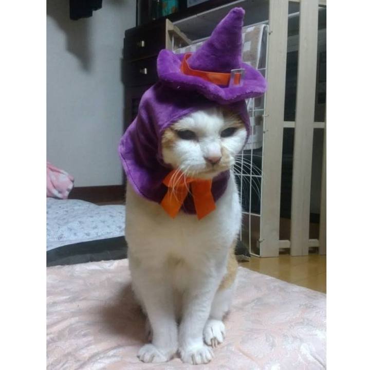 40869e74 990f 408c ae89 afdc8c95a4e7 1667030635905