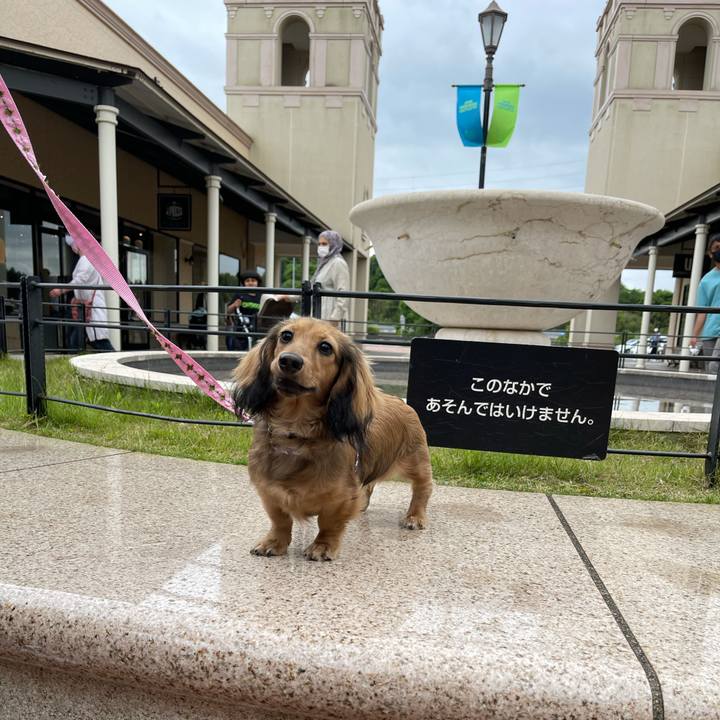 4086c2a8 4e8b 4e4e a767 b79e43ea4bd5 1621142498473