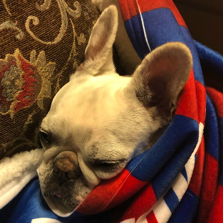 4086ce2a 7fea 4a16 a55e d4209545c115 1586610908166