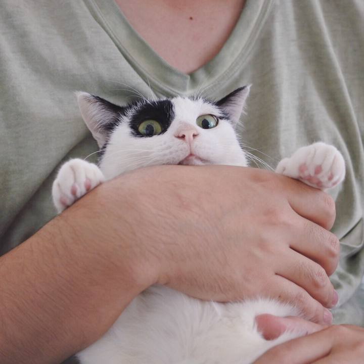 4086d846 73b4 4738 8642 0bc6eb58f59d 1543193867539