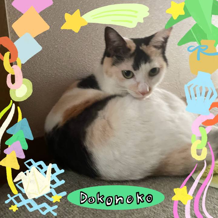 4086ded2 17a1 472e 9c37 42e66f89edf1 1755408448510