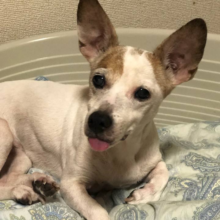 40870774 d0f5 4988 9a61 9915296e3636 1568189779882