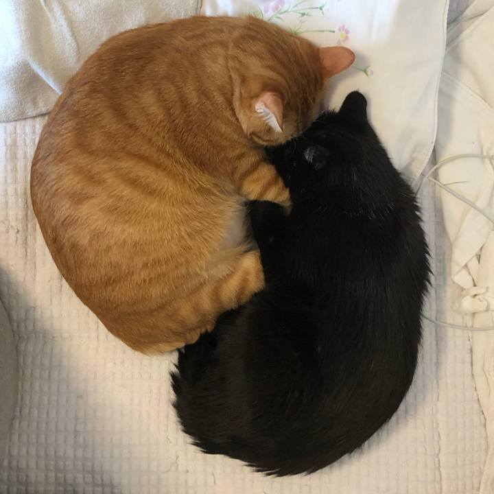 40873165 9156 4851 9a16 ab62aebb71e7 1574570006770