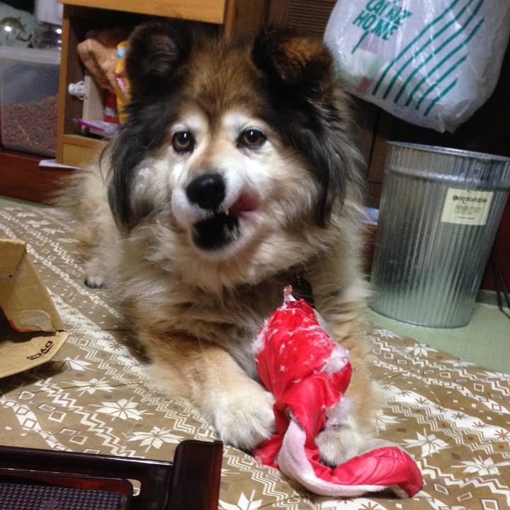 40873996 bc04 4e29 9f34 f086162e1f9f 1612747000047