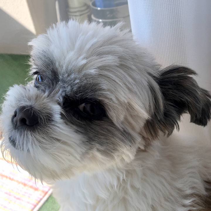 408745c1 bbcc 45e4 aada f5b085746177 1520181309278