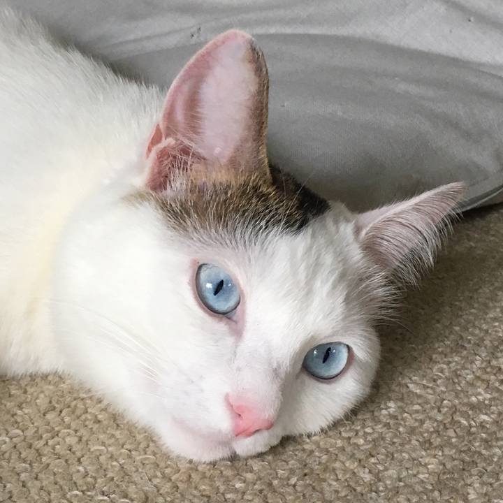 40875e2d f6ef 45d2 98f9 5d25da11937c 1527920005358