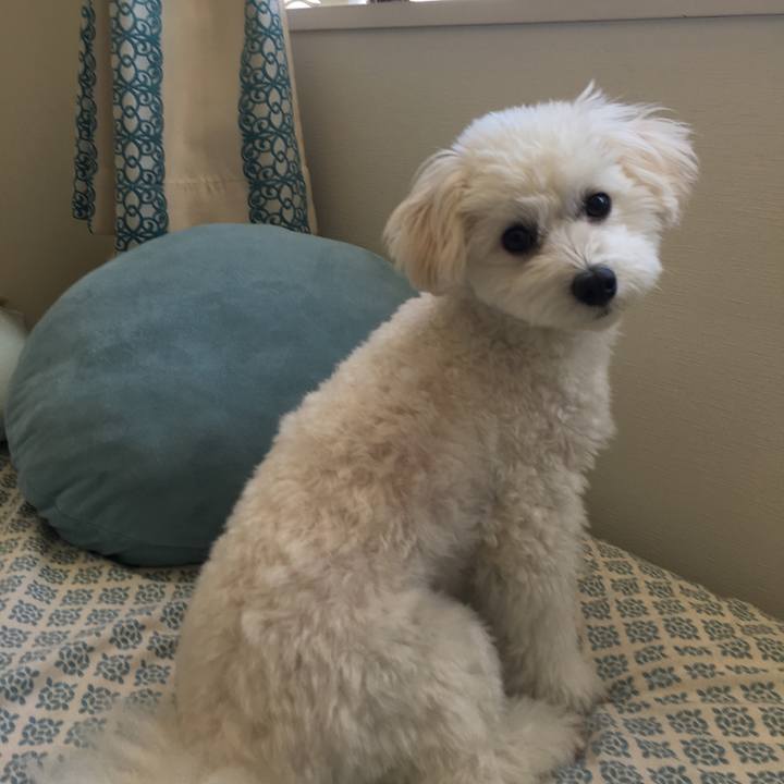 40875f2c 703d 4781 b932 cb8b5842ce72 1540767746835