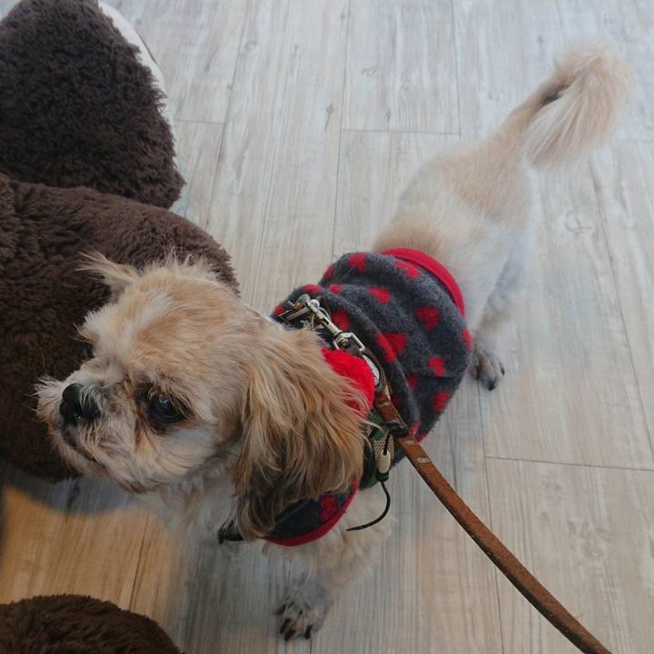 408761f9 9d4d 461e bfec a6f6b38e1e06 1605066291257